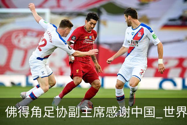 佛得角足协副主席感谢中国 世界杯后将安排与国足友谊赛