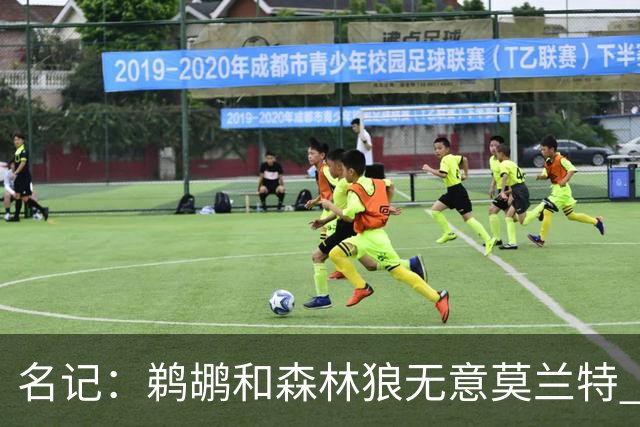 名记：鹈鹕&森林狼无意莫兰特 热火也不急于尝试其与字母哥的搭档